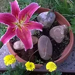 Дом отдыха Vesna