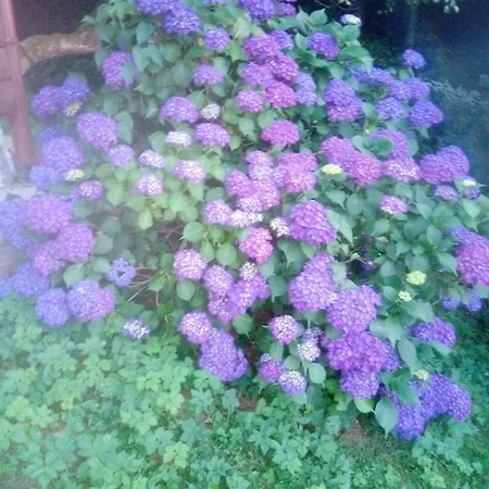 Holiday home Vesna