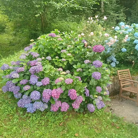 Vesna * Brod na Kupi