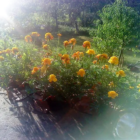 Holiday home Vesna *
