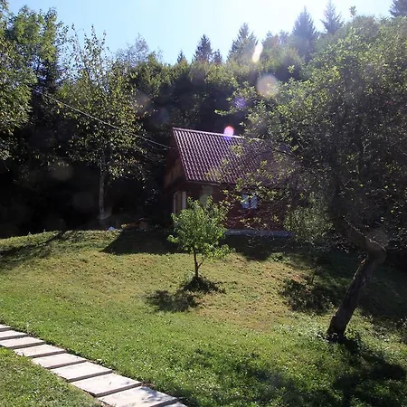 Vesna Brod na Kupi