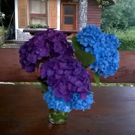 Vesna Casa vacanze Brod na Kupi