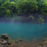 Vesna Brod na Kupi