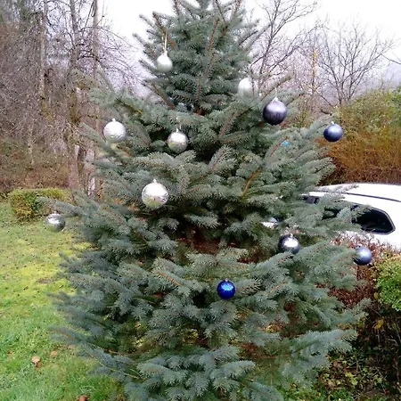 Vesna Σπίτι διακοπών
