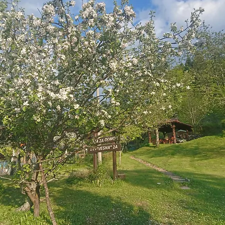Ferienhaus Vesna *