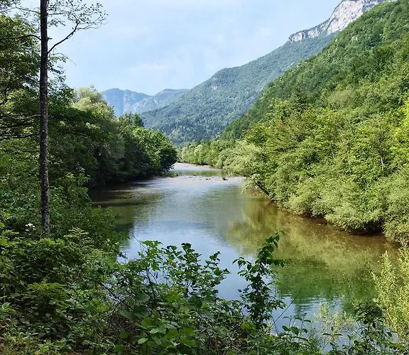 Case de vacanță Vesna Brod na Kupi