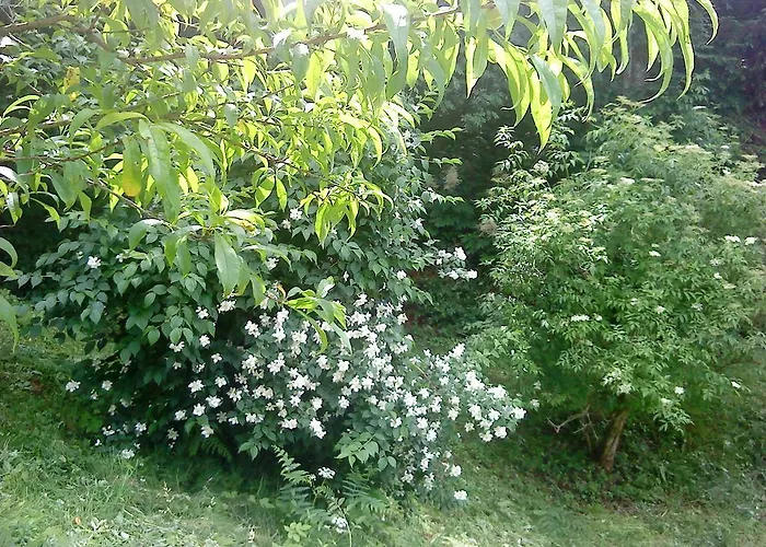 Vesna